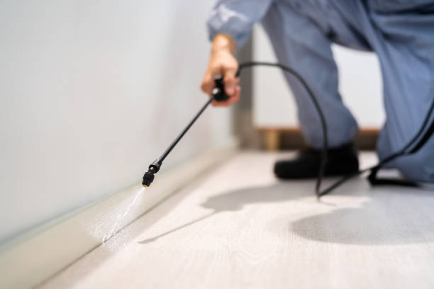 Licensed Fumigation Services service in Basking Ridge, NJ - Nex Pest Control