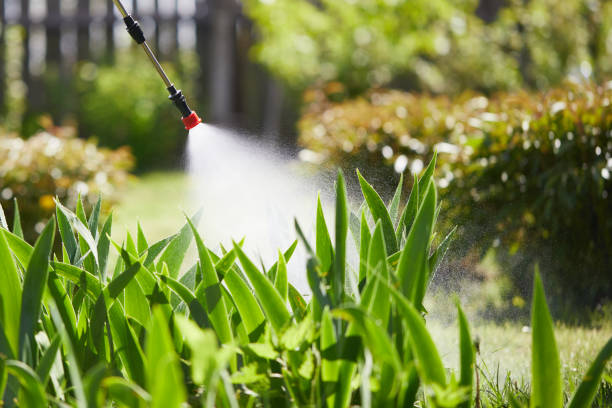 24/7 Emergency Fumigation Services experts in Basking Ridge, NJ