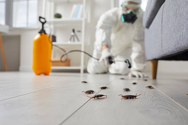 Trusted Termite Control service in Basking Ridge, NJ - Nex Pest Control