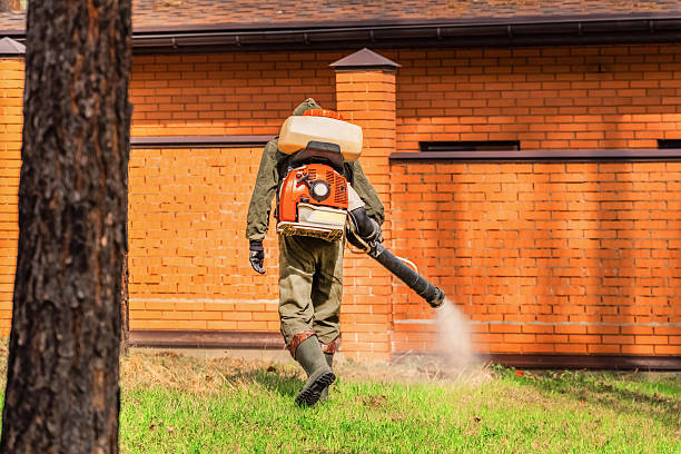 Trusted Emergency Pest Control service in Basking Ridge, NJ - Nex Pest Control